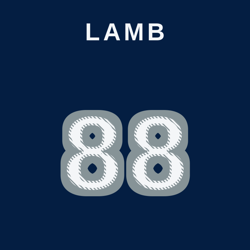 CeeDee Lamb jersey